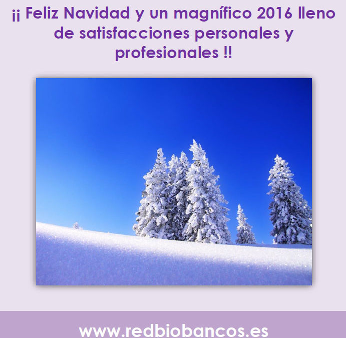Nuevo boletín de noticias PRNBB
