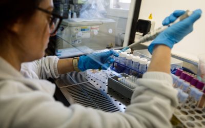 ISABIAL e IDiBE constituyen una unidad mixta de investigación para el desarrollo de tecnología con aplicaciones pioneras en biomedicina y biotecnología