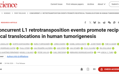 Nuevo avance publicado en Science revela mecanismos clave de inestabilidad genómica en cáncer