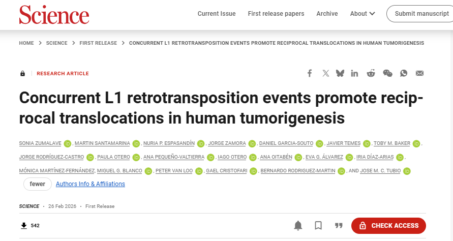 Captura de pantalla 2026-03-02 160438