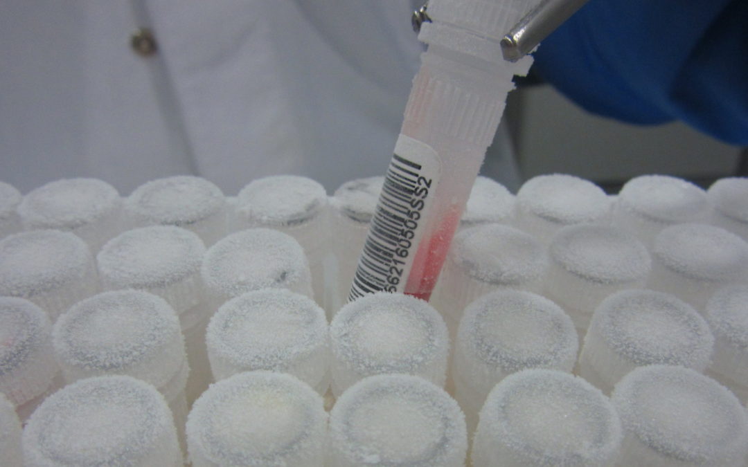 Los biobancos españoles ponen a disposición de la investigación 62.000 muestras de COVID-19