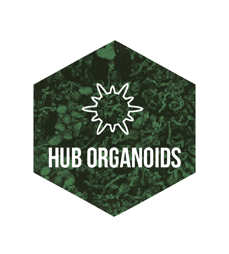 ORGANOIDES